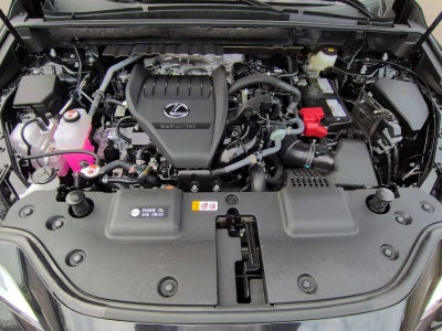 Lexus NX 350 Luxury 2026