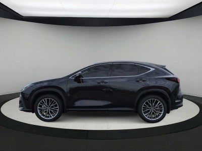 Lexus NX 350 Luxury 2026