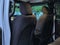Jeep Wrangler Sport S 2023