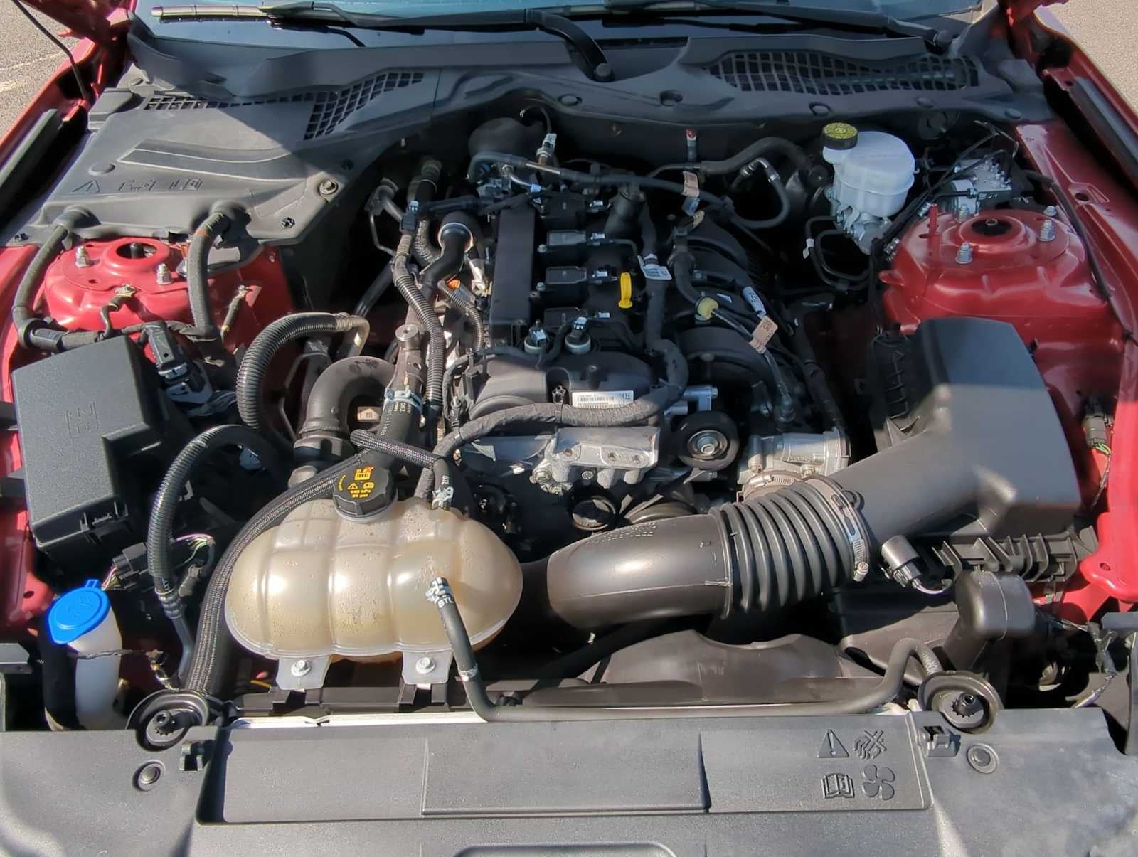 Ford Mustang EcoBoost 2021