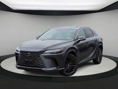 2024 Lexus RX Premium