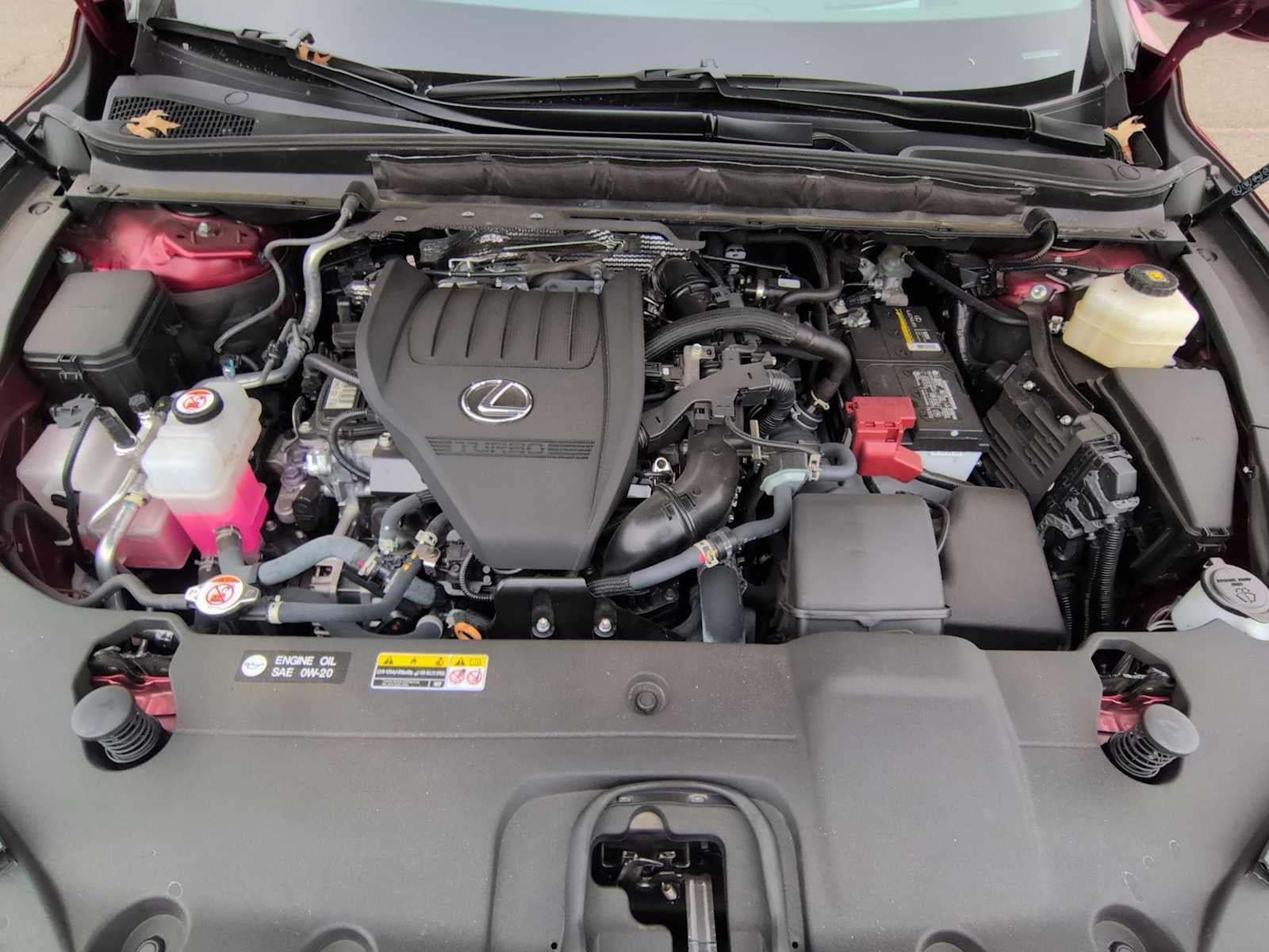 Lexus RX Premium Plus 2023