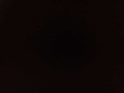 Honda Passport EX-L 2020