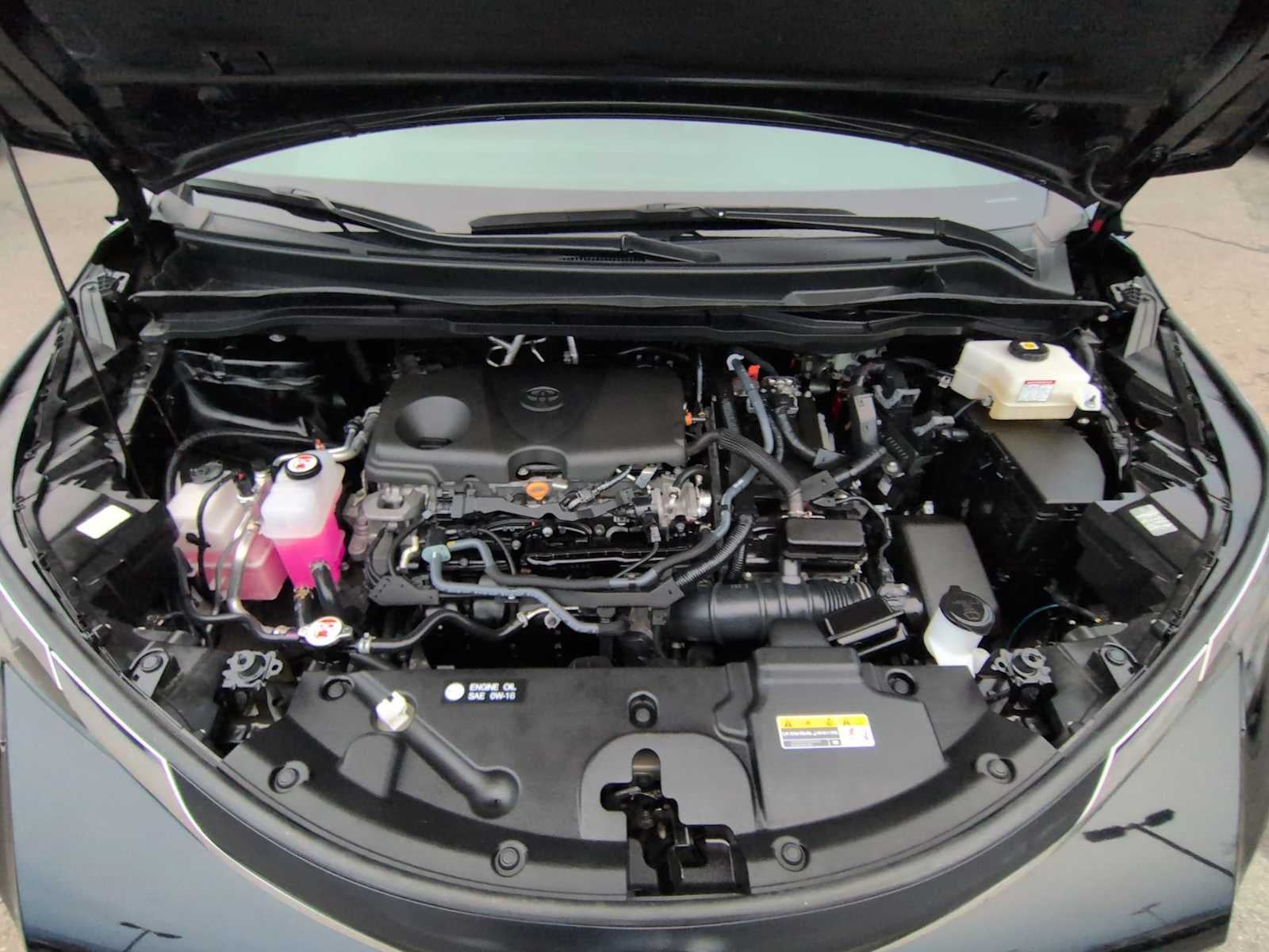 Toyota Sienna LE 2024