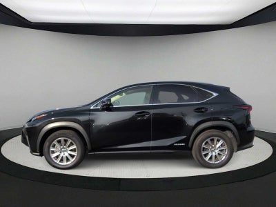 Lexus NX NX 300h 2020