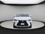 Lexus NX 350h Premium 2024
